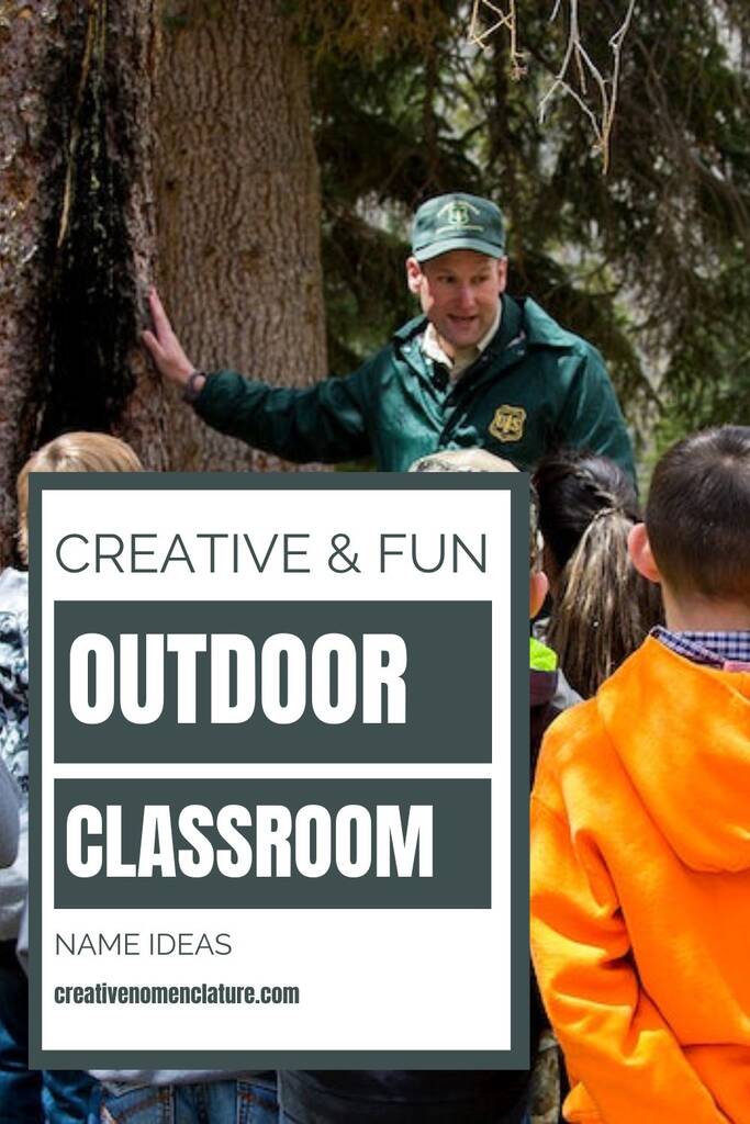 Creative Outdoor Classroom Name Ideas